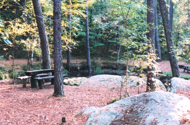 Sauloch Einberger Schweiz